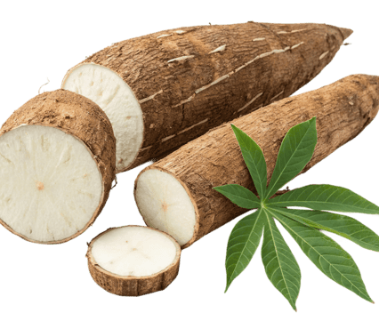 Chikwangue (Kwánga) de manioc sous vide – 500g