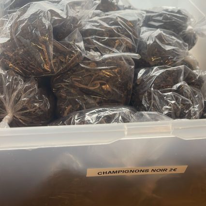 Champignon noir