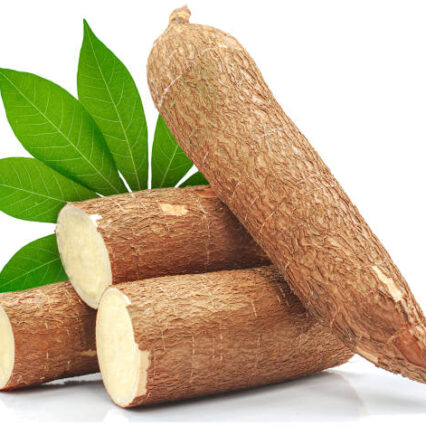 Manioc