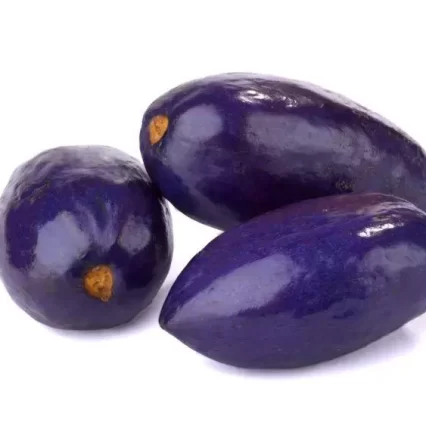 Safou